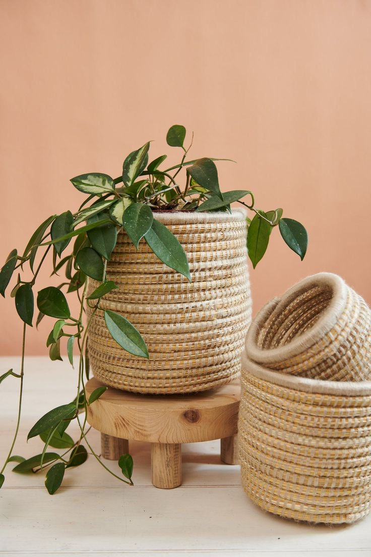 Basket | Planter Stand